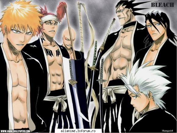 se pare ca un nou anime va fi difuzat pe animax acesta este bleach !
bleach un anime japonez scris